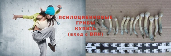 spice Алексеевка