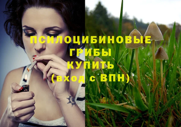 spice Алексеевка
