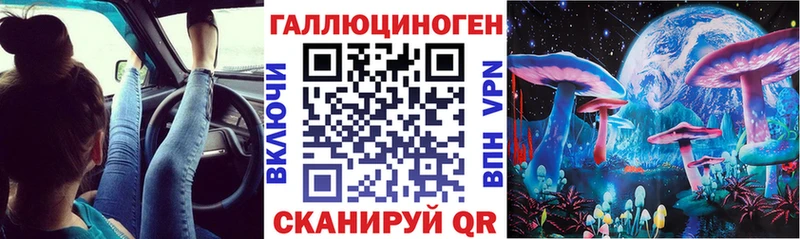 мега ТОР  маркетплейс какой сайт  Ачинск  Псилоцибиновые грибы Psilocybine cubensis  закладки 