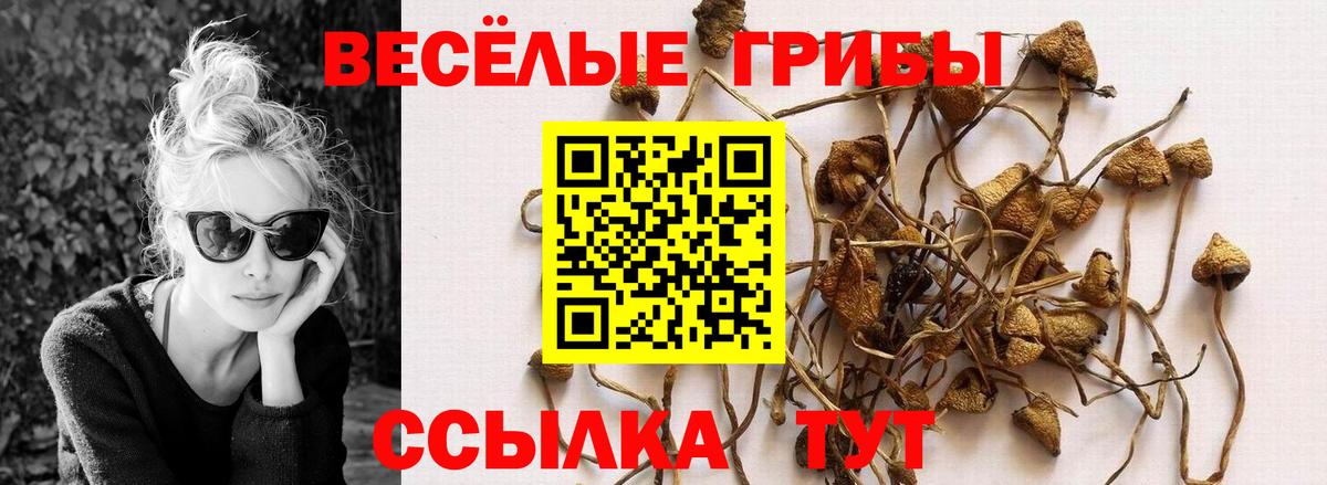 Ачинск  Псилоцибиновые грибы Psilocybine cubensis  Вход с VPN 