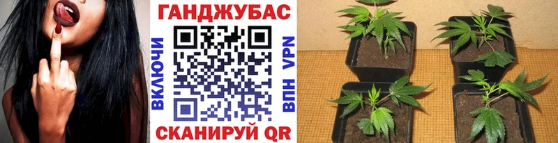 дарнет шоп  KRAKEN ONION  Каннабис SATIVA & INDICA  Ачинск 